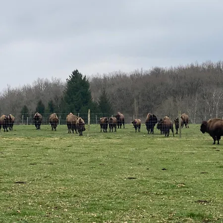 Remarkable 6pers In The Dordogne 度假居