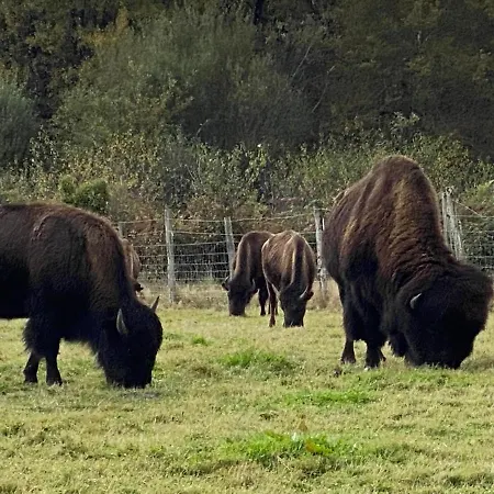 Remarkable 6pers In The Dordogne Chalais (Dordogne)