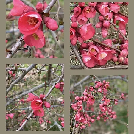 Remarkable 6pers In The Dordogne *