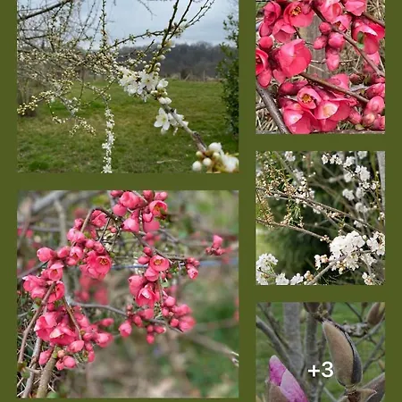 Remarkable 6pers In The Dordogne * Chalais (Dordogne)
